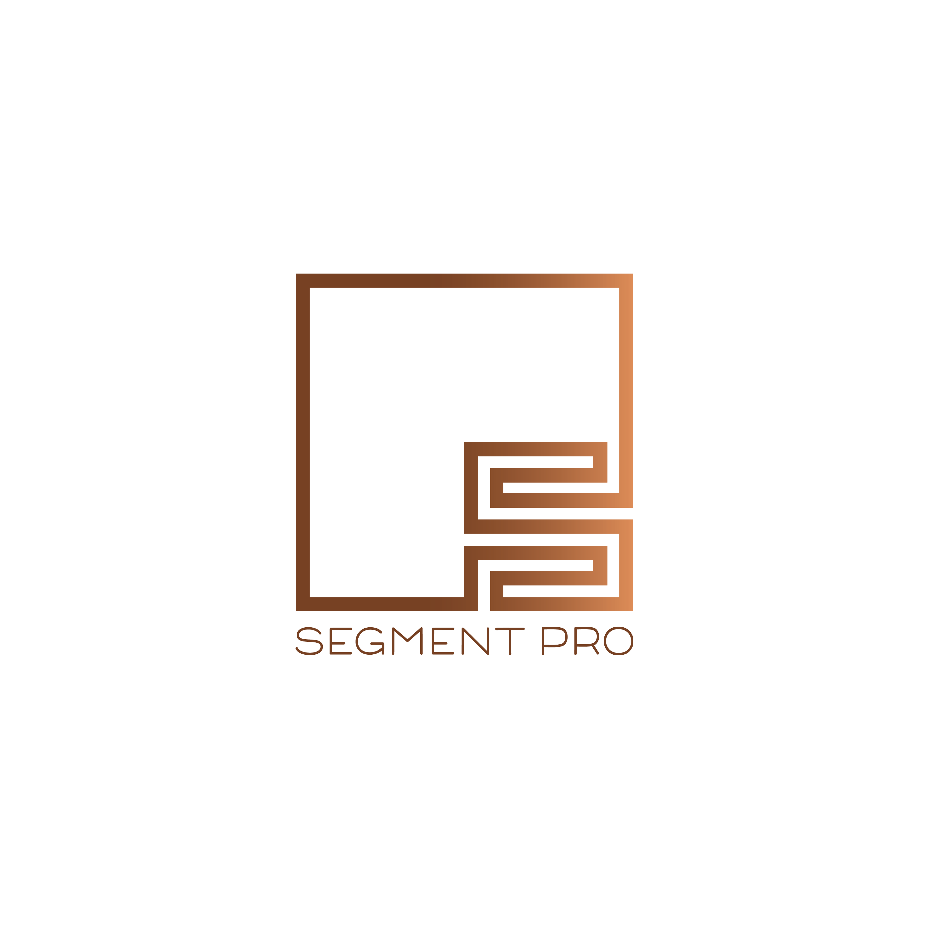 Segment Pro Limited